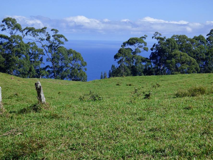 Land for Sale in Paauilo Exclusive Hawaii Life