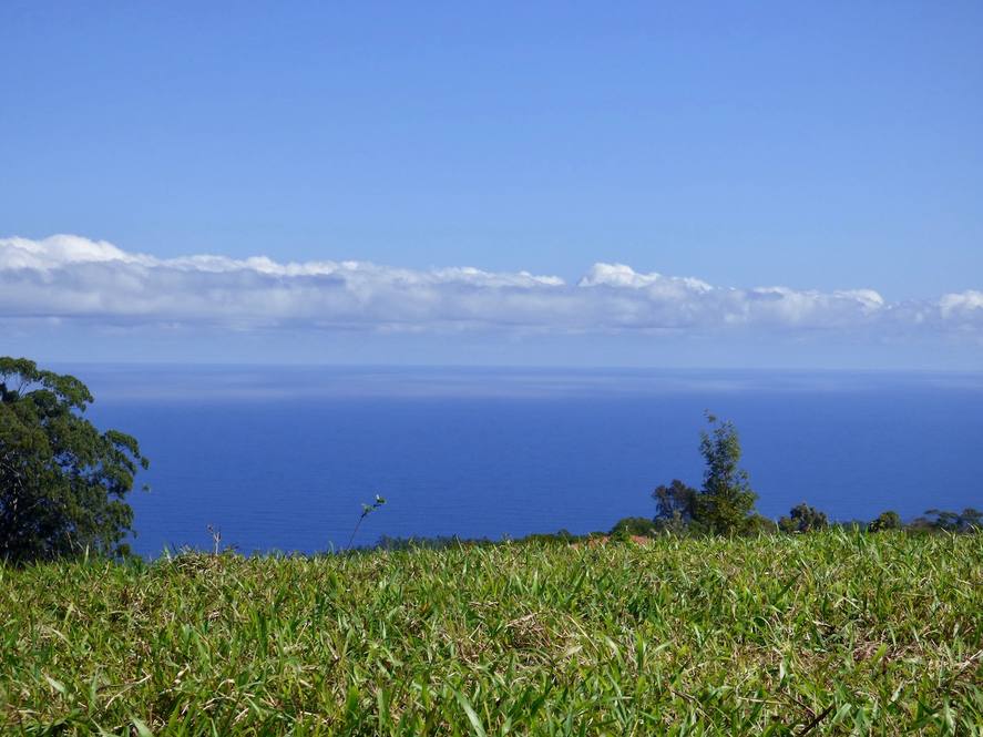 Land for Sale in Paauilo Exclusive Dan Ishikawa Hawaii Life
