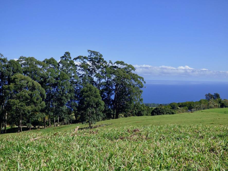 Land for Sale in Paauilo Exclusive Dan Ishikawa Hawaii Life