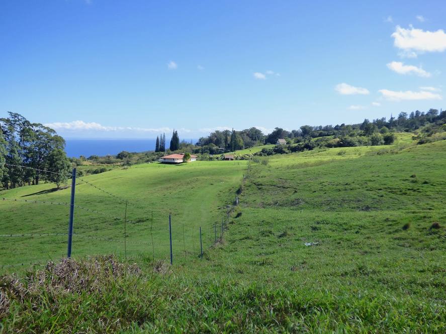 Land for Sale in Paauilo Exclusive Dan Ishikawa Hawaii Life