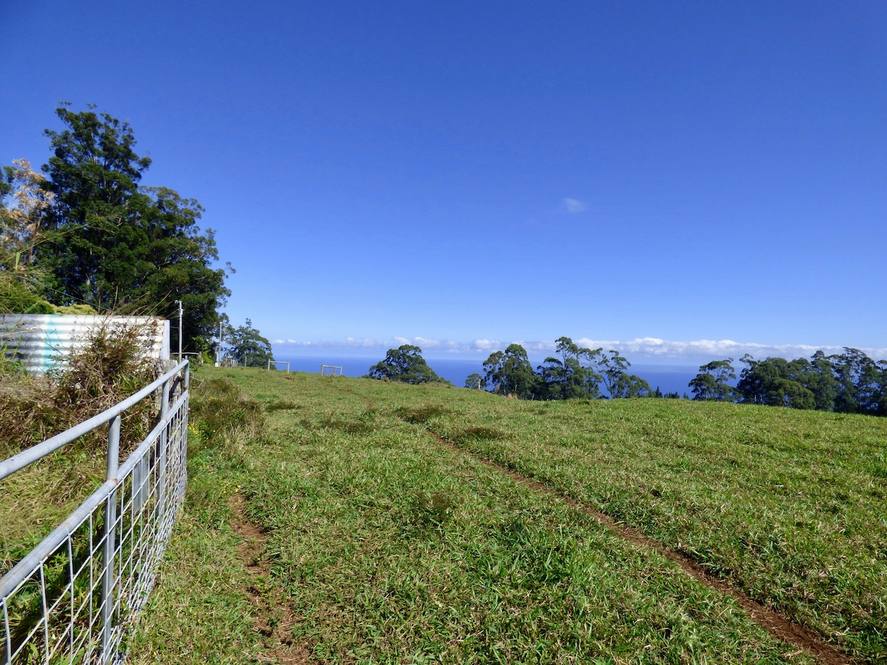 Land for Sale in Paauilo Exclusive Dan Ishikawa Hawaii Life