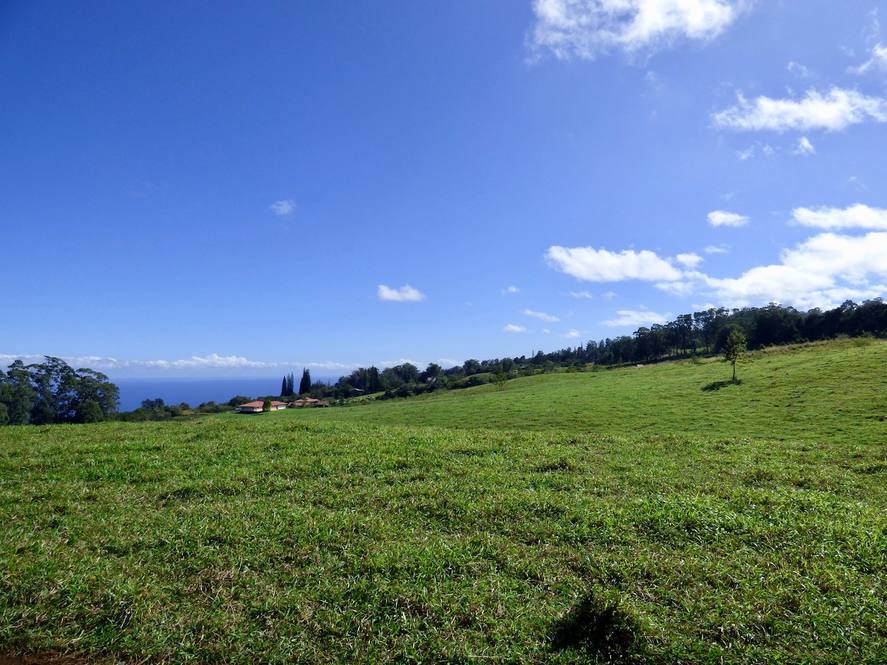 Land for Sale in Paauilo Exclusive Dan Ishikawa Hawaii Life