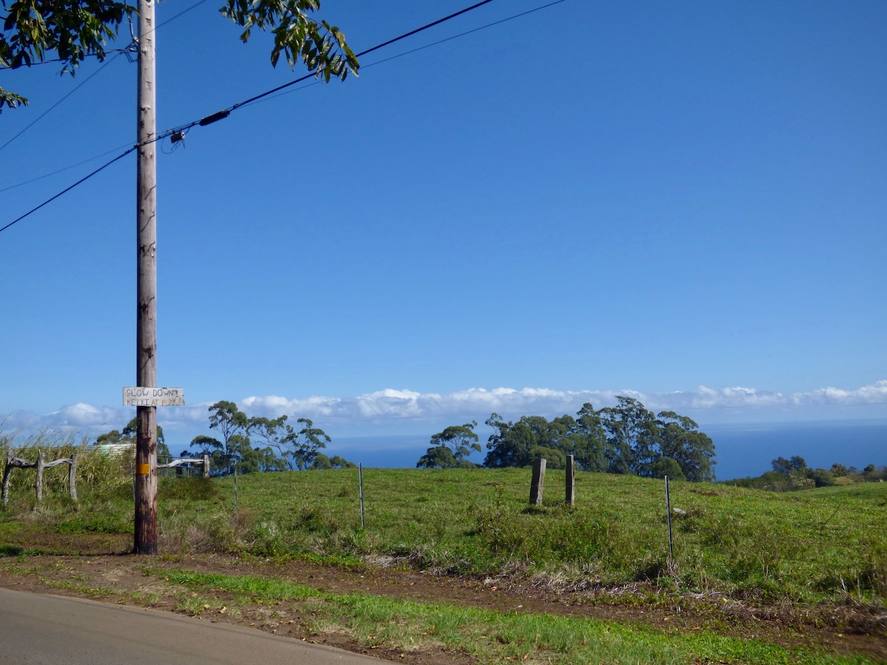 Land for Sale in Paauilo Exclusive Dan Ishikawa Hawaii Life