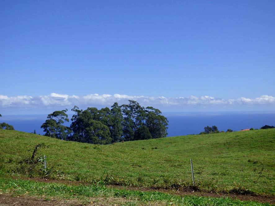 Land for Sale in Paauilo Exclusive Dan Ishikawa Hawaii Life