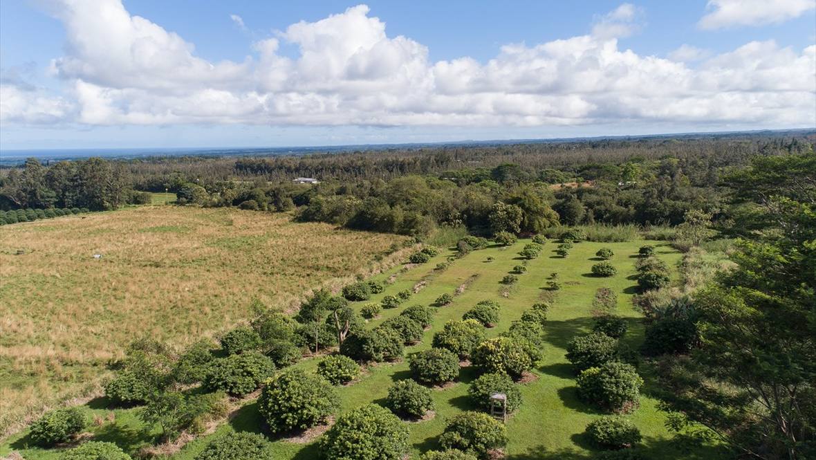 Land for Sale in KURTISTOWN 635642 Evan Clarke Hawaii Life