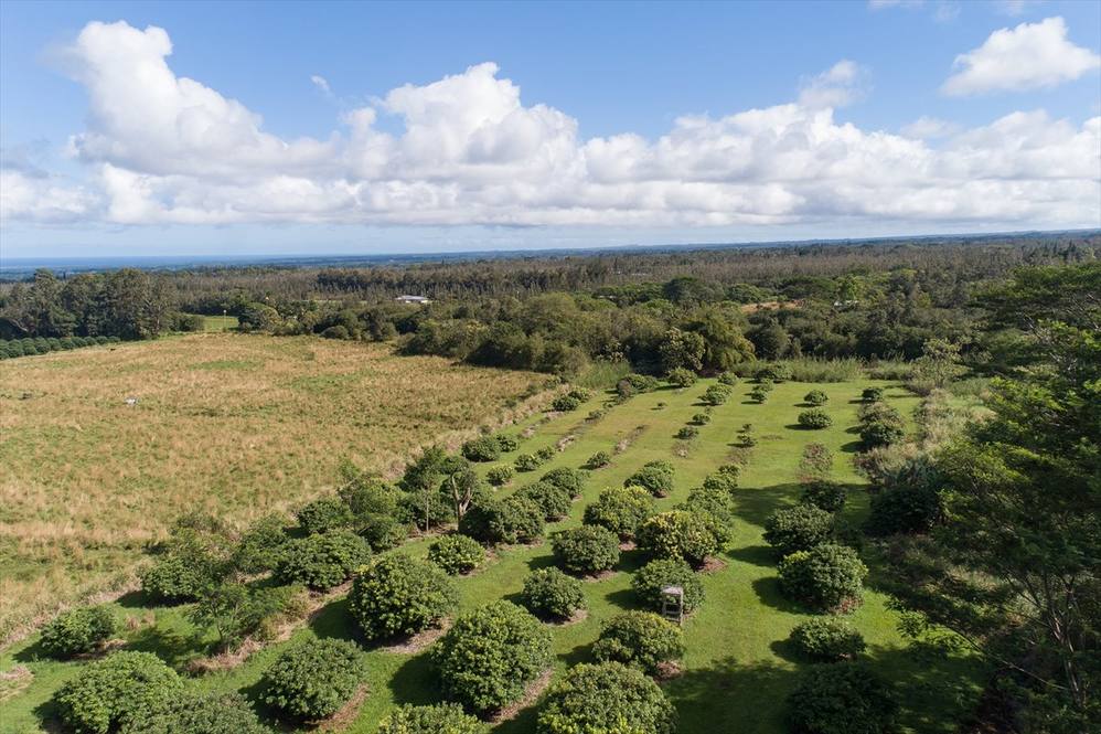 Land for Sale in KURTISTOWN 635642 Evan Clarke Hawaii Life