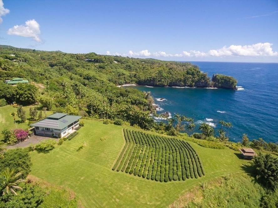 27604 ALAKAHI PL House for Sale in Papaikou 636414 Denise