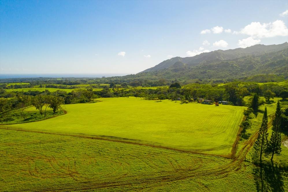 Kapuna Road 1 Land for Sale in Kilauea 635469 Neal Norman