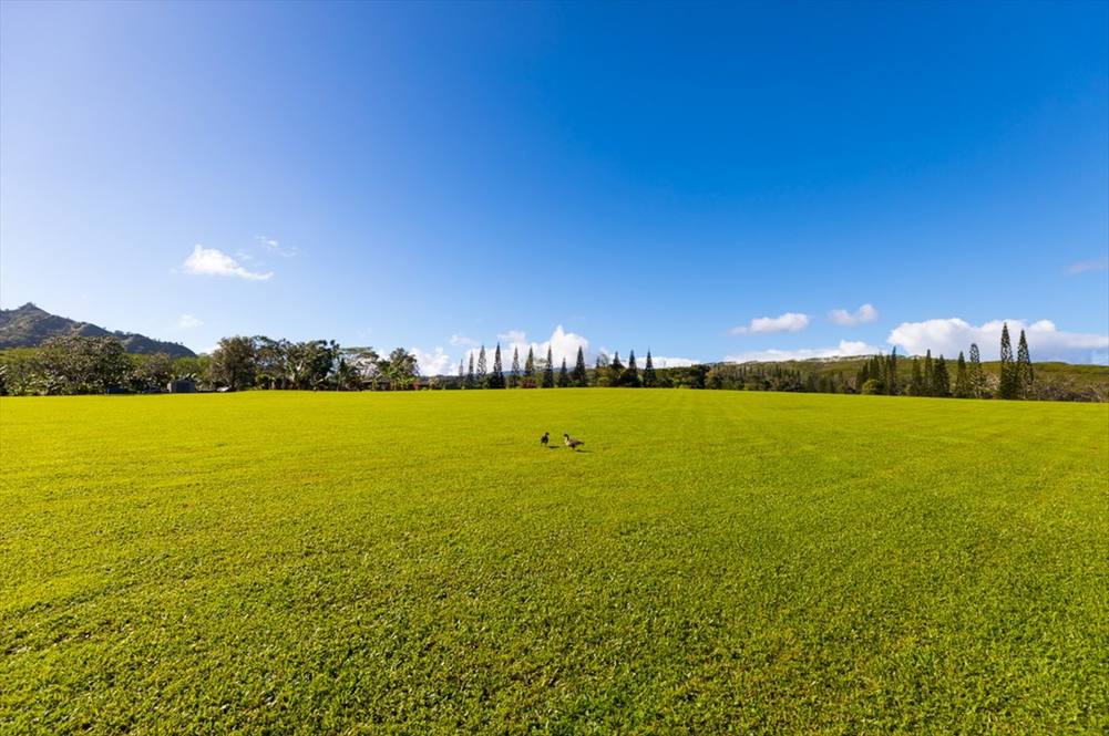 Kapuna Road 1 Land for Sale in Kilauea 635469 Neal Norman