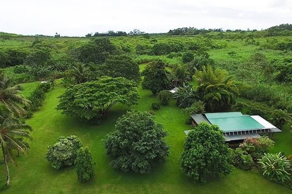 Noni Farms Rd. House for Sale in PAHOA 600822 Ron Teichman