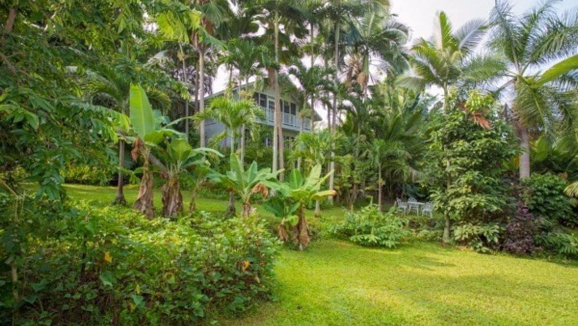 845080 KE ALA O KEAWE RD House for Sale in HONAUNAU 600247 Tanya Sunshine Hawaii Life