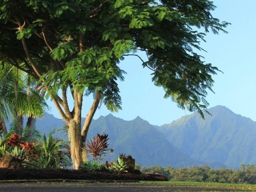 5116 KAHILIHOLO RD 2 House for Sale in KILAUEA 294335 Amy Marvin