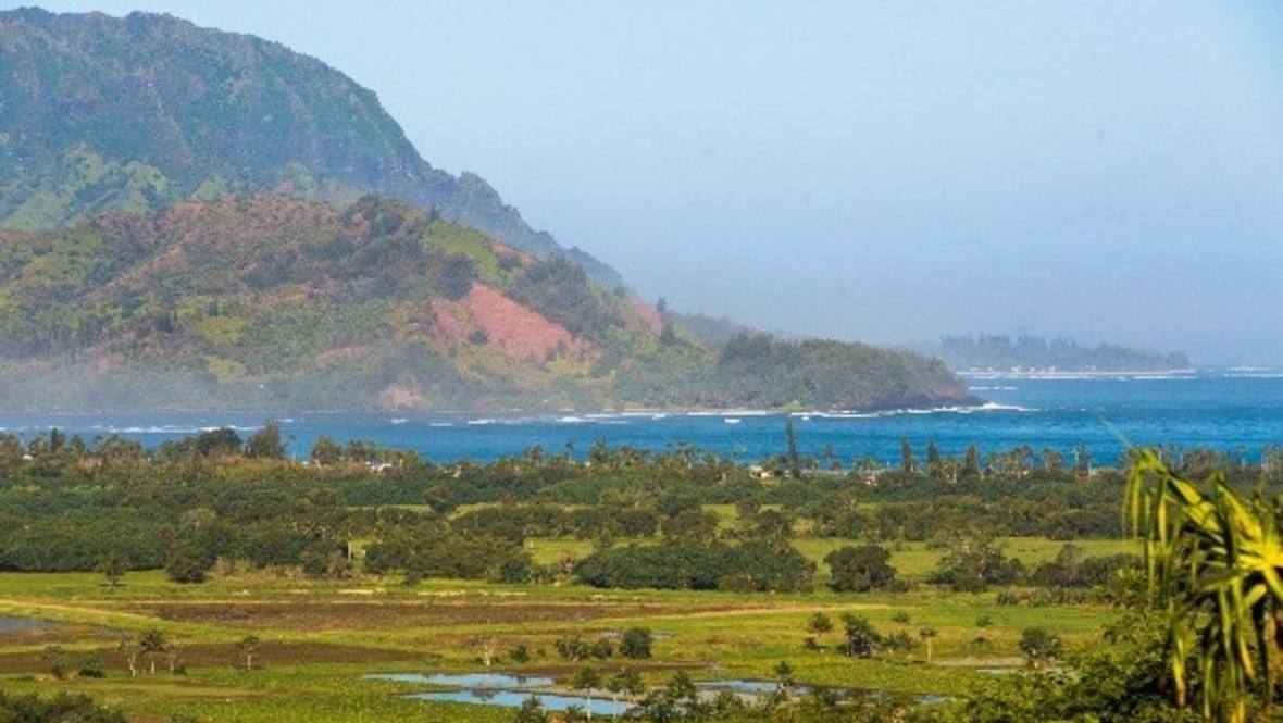 4600 Kapaka Street A Land for Sale in PRINCEVILLE 293754 Neal