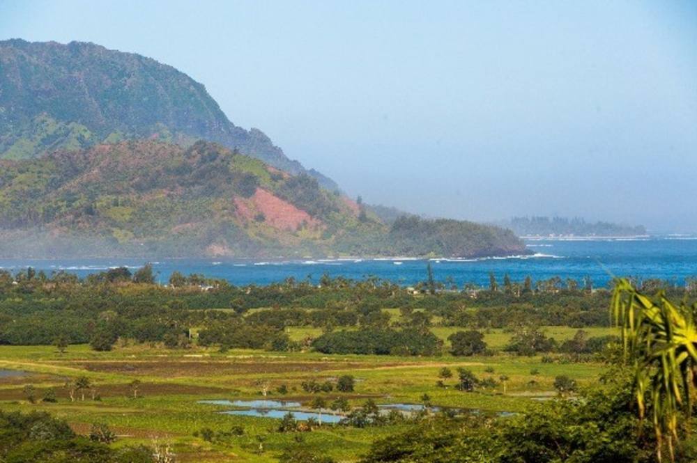 4600 Kapaka Street A Land for Sale in PRINCEVILLE 293754 Neal