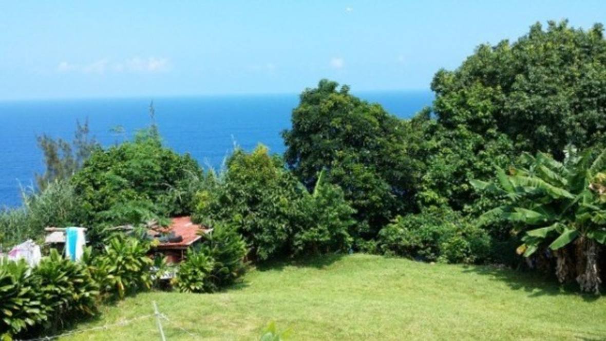 35125 KEKOA CAMP LOOP House for Sale in Papaaloa 288446 Ron