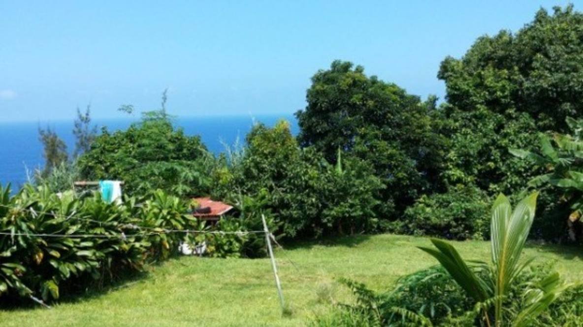 35125 KEKOA CAMP LOOP House for Sale in Papaaloa 288446 Ron