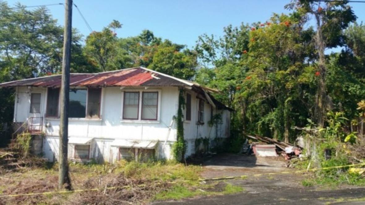 27451 OLD MAMALAHOA HWY Land for Sale in PAPAIKOU 284637 Denise