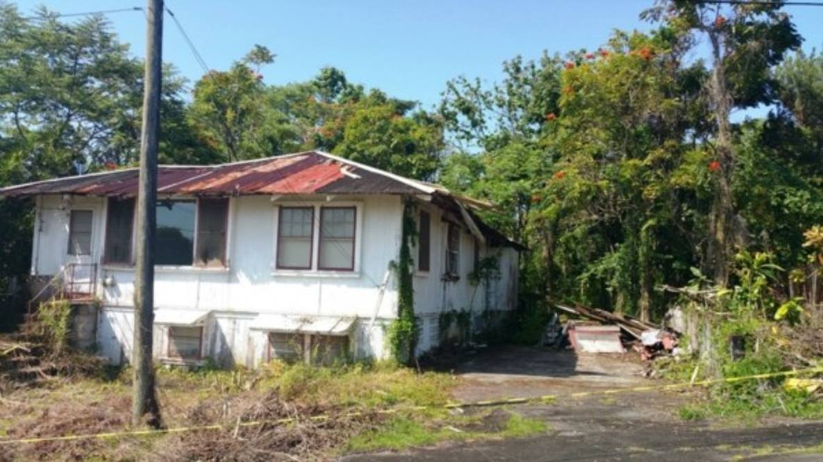 27451 OLD MAMALAHOA HWY Land for Sale in PAPAIKOU 284637 Denise