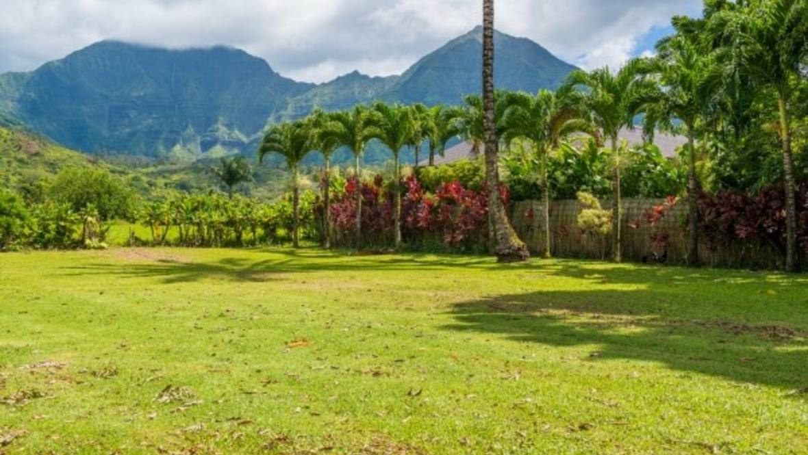 55075 KUHIO HWY Land for Sale in Hanalei 275399 Ben Welborn
