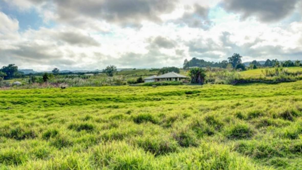 292551 KAIWIKI HOMESTEAD RD House for Sale in HAKALAU 274285