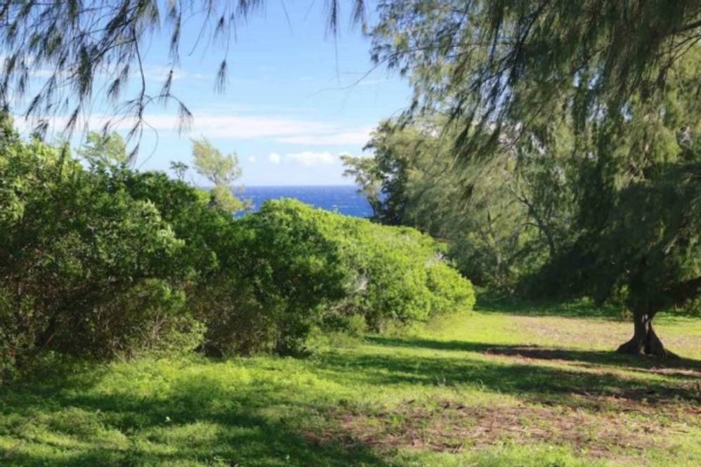 KAPANAIA RD Land for Sale in Kapaau 270142 Hawaii Life