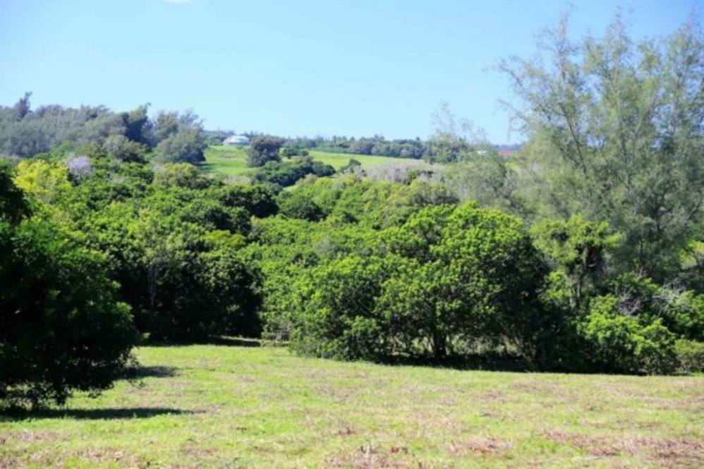 KAPANAIA RD Land for Sale in Kapaau 270142 Beth Thoma Robinson Hawaii Life