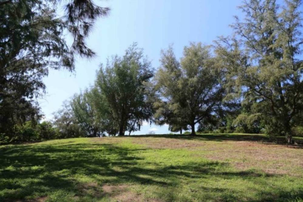 KAPANAIA RD Land for Sale in Kapaau 270142 Beth Thoma Robinson Hawaii Life