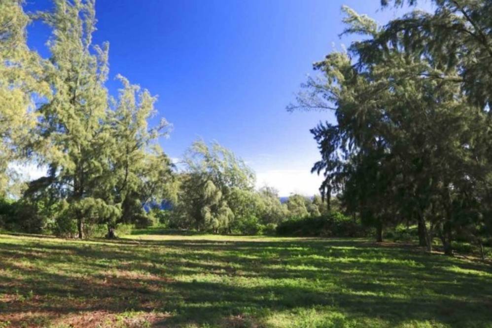 KAPANAIA RD Land for Sale in Kapaau 270142 Beth Thoma Robinson Hawaii Life