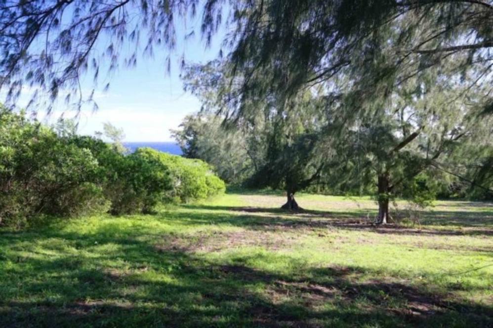 KAPANAIA RD Land for Sale in Kapaau 270142 Hawaii Life