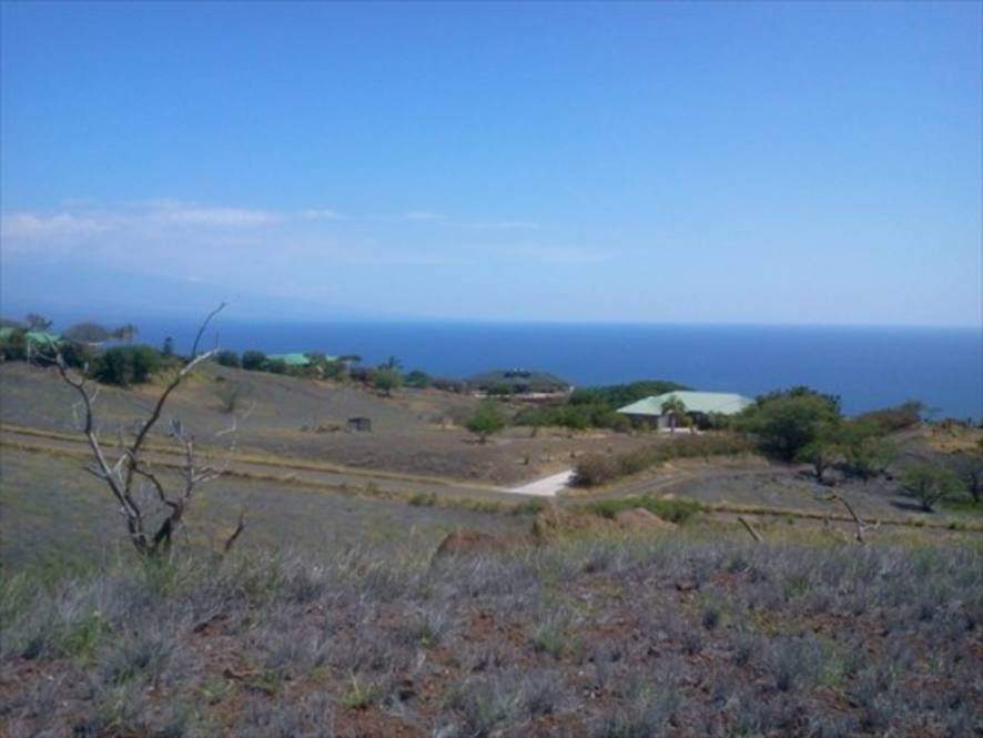 59750 Hookela Land for Sale in KAMUELA 264660 Jan Nores Hawaii