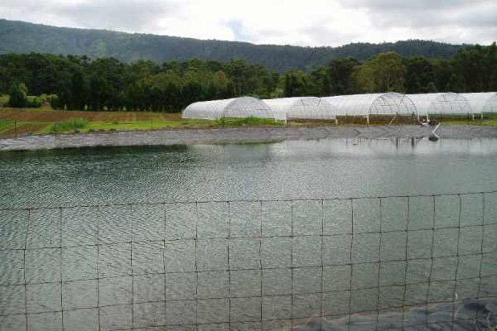 961029 CENTER RD 0 House for Sale in PAHALA 262668 Tanya