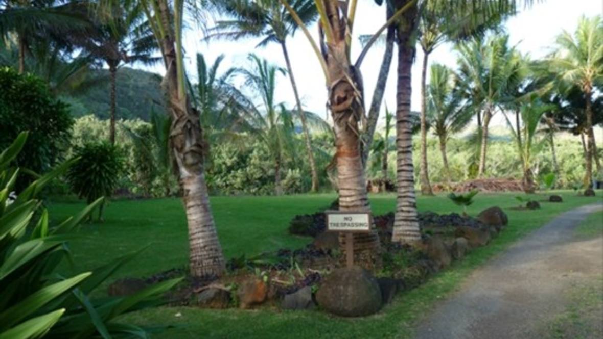 5557 WEKE RD Land for Sale in HANALEI 260825 Neal Norman Hawaii