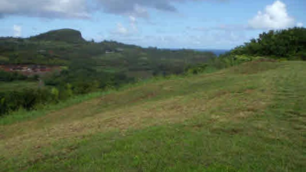 4170K WAILAPA RD Land for Sale in KILAUEA 260225 Neal Norman