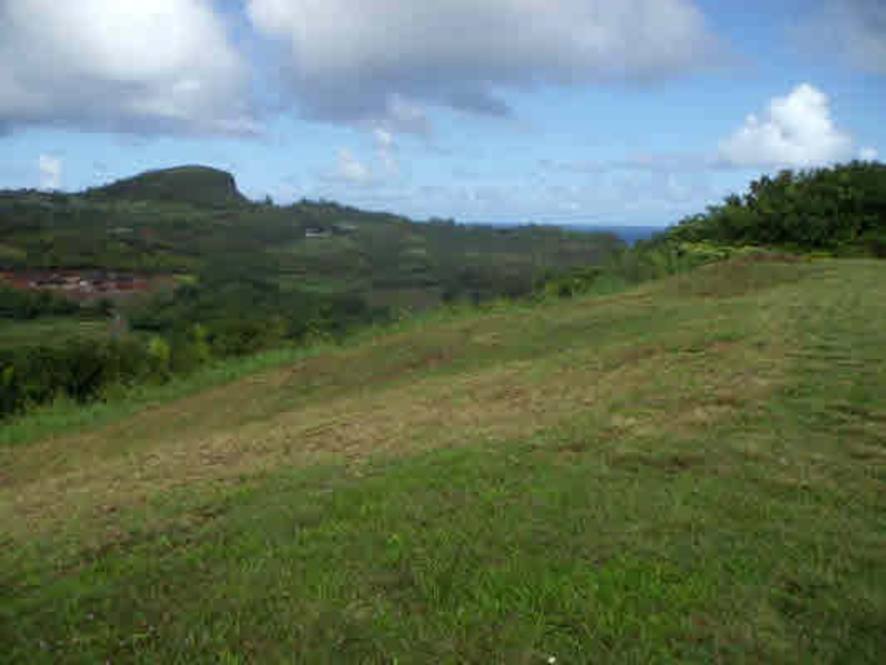 4170K WAILAPA RD Land for Sale in KILAUEA 260225 Neal Norman