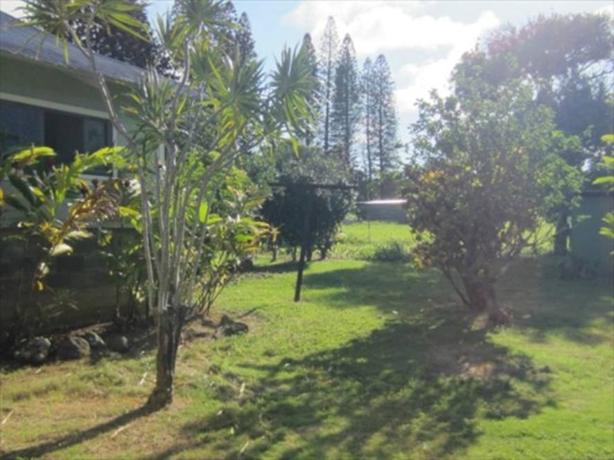 53370 OLD HALAULA MILL RD House for Sale in KAPAAU 256115 Beth