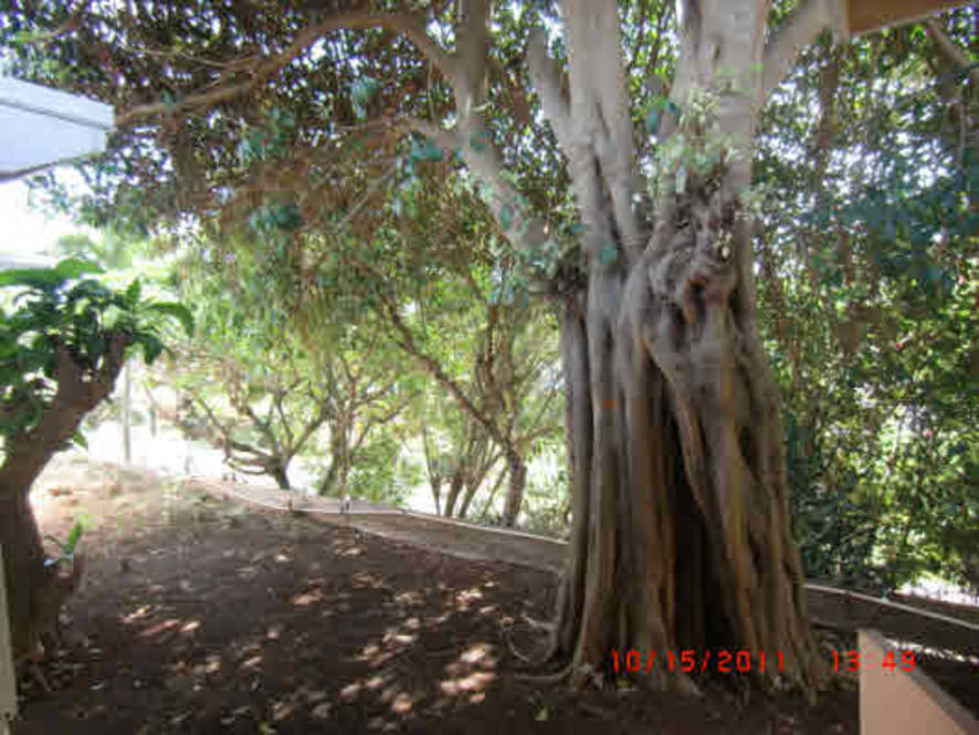 5105 HEKILI RD House for Sale in KAPAA 249230 JJ Leininger