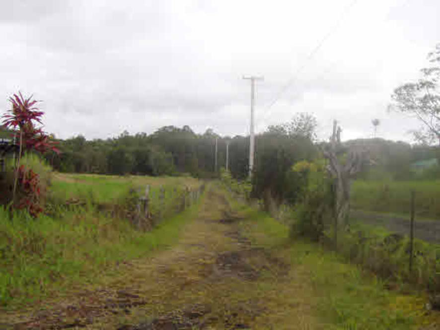 184317 N PECK RD House for Sale in VOLCANO 243269 Max B. Aiona