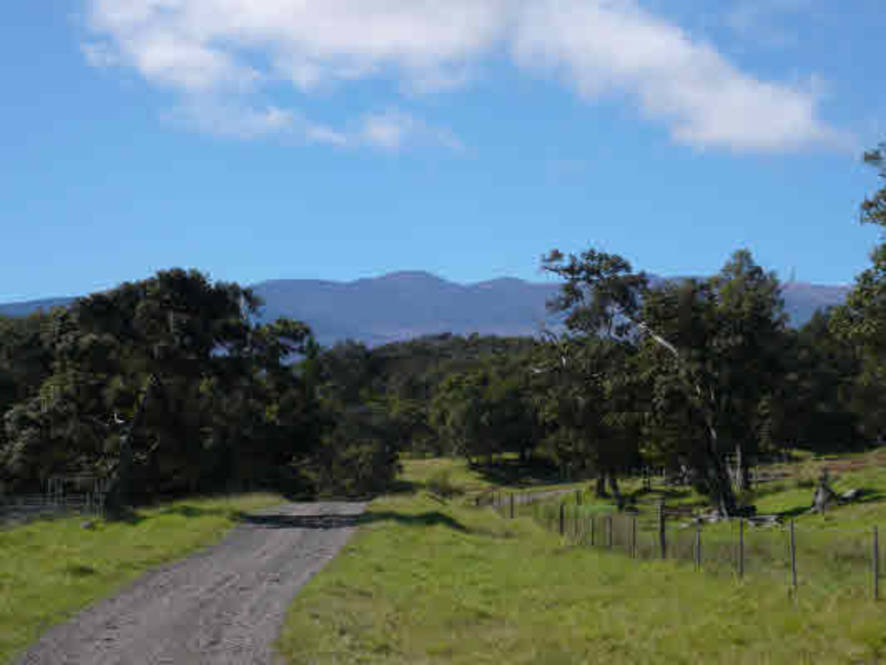 431591 POHAKEALANI RD House for Sale in PAAUILO 238314 Denise