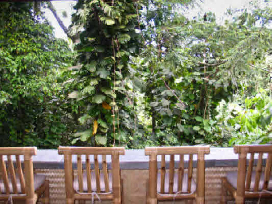 360 KAUILA ST 205 Condo for Sale in HILO 236528 Denise Nakanishi