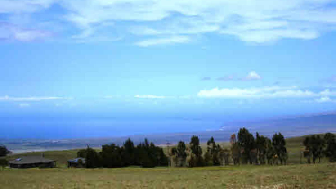 Waikii Ranch Land for Sale in KAMUELA 234040 Beth Thoma Robinson