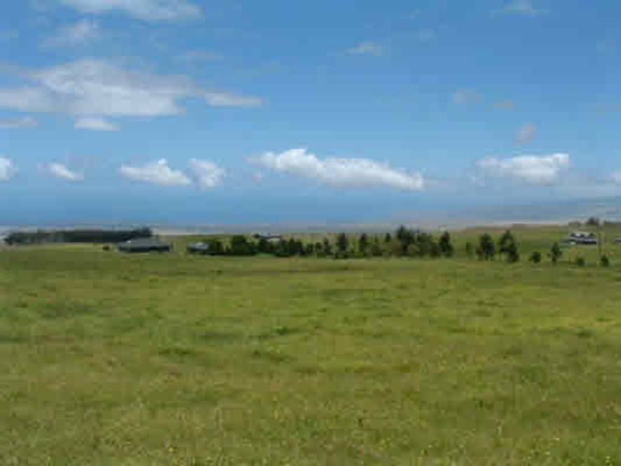 Waikii Ranch Land for Sale in KAMUELA 234040 Beth Thoma Robinson