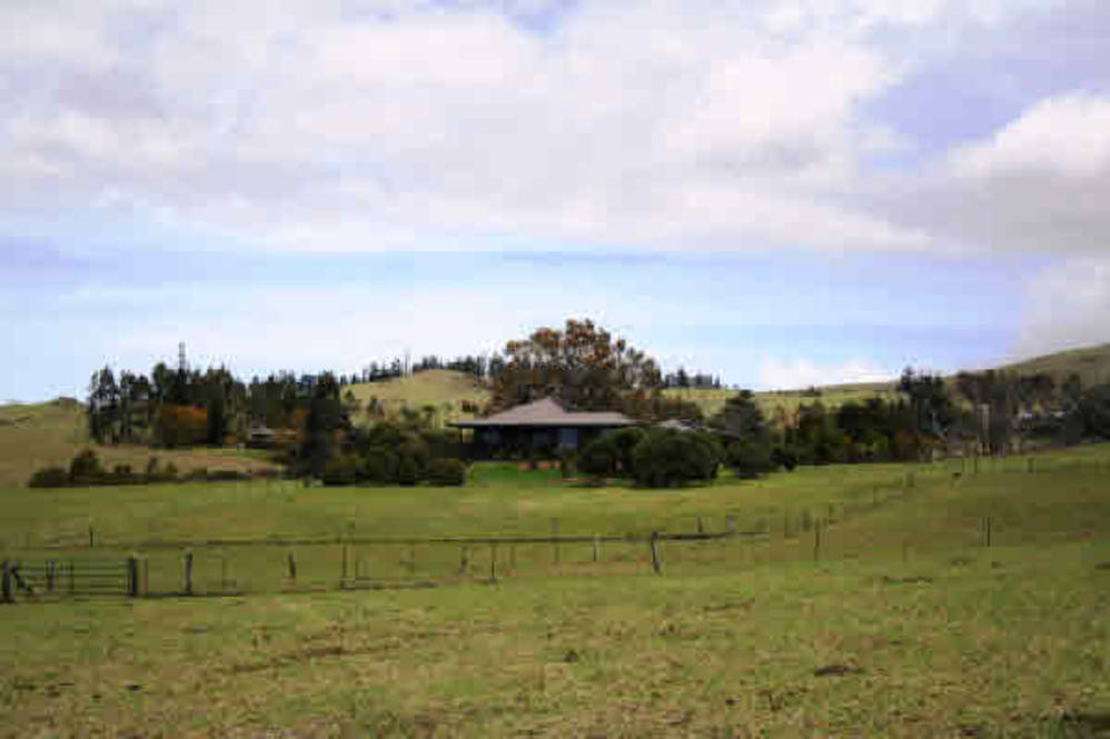 Waikii Ranch Land for Sale in KAMUELA 234040 Beth Thoma Robinson