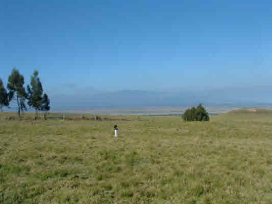 Waikii Ranch Land for Sale in KAMUELA 234040 Beth Thoma Robinson