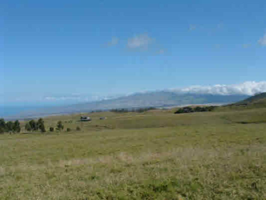 Waikii Ranch Land for Sale in KAMUELA 234040 Beth Thoma Robinson