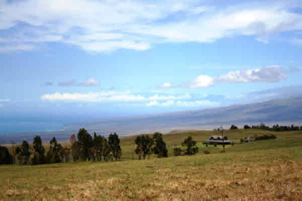 Waikii Ranch Land for Sale in KAMUELA 234040 Beth Thoma Robinson
