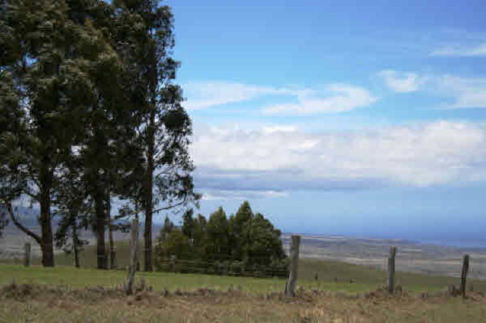Waikii Ranch Land for Sale in KAMUELA 234040 Beth Thoma Robinson