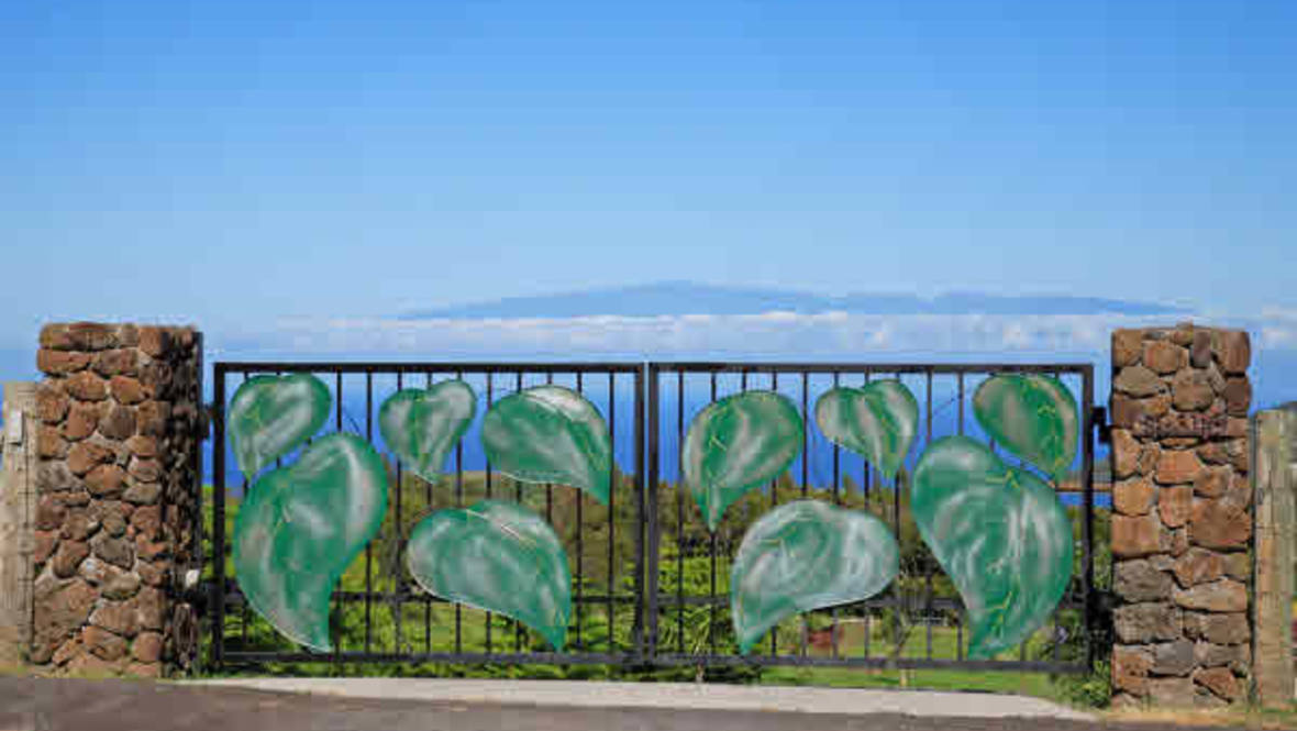 563189 PUU MAMO DR House for Sale in HAWI 230134 Beth Thoma