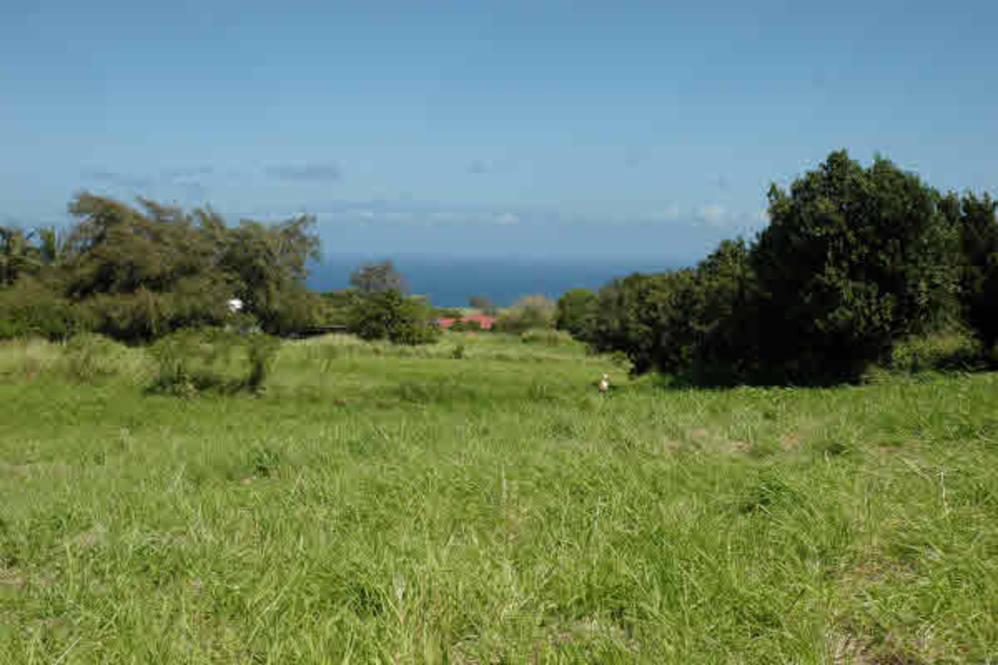 Lincoln Avenue Land for Sale in HAWI 228497 Beth Thoma Robinson