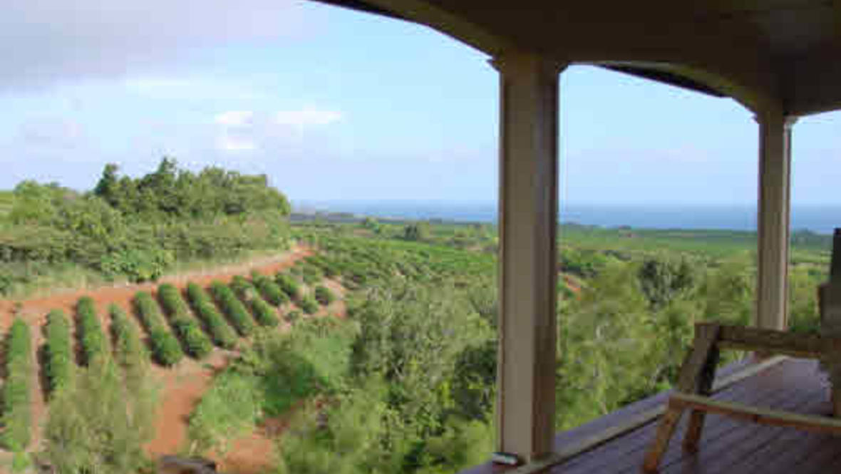 KAKELA MAKAI DR House for Sale in KALAHEO 208776 JJ Leininger