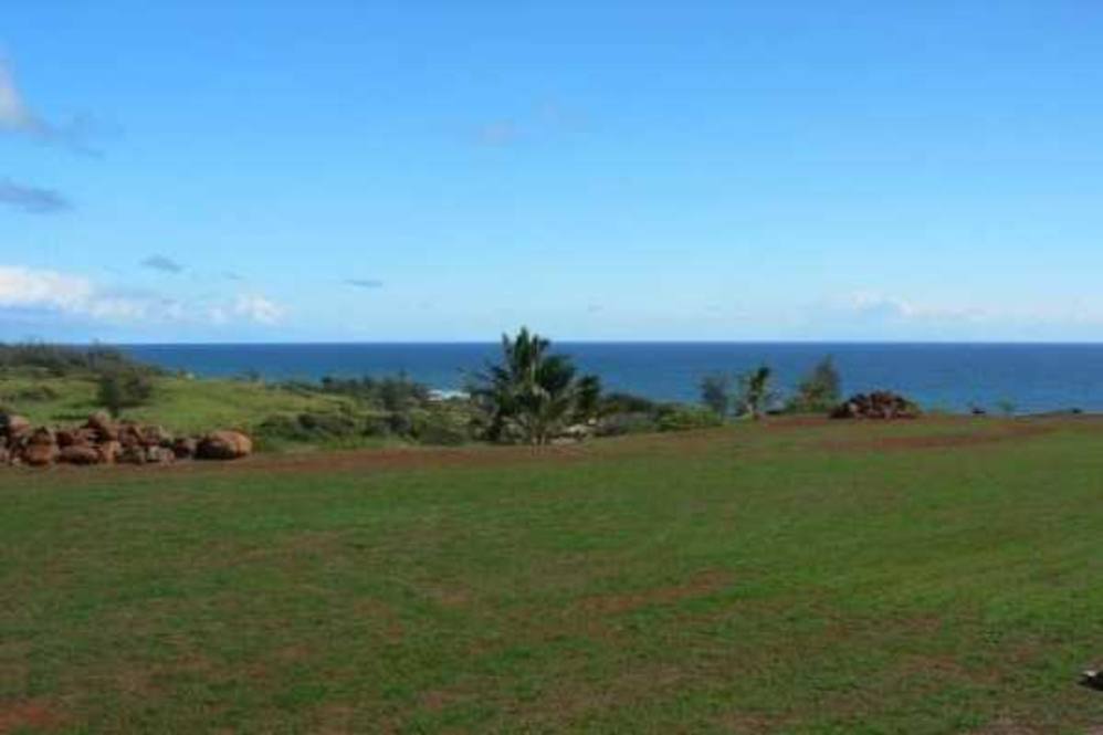 Kapoli Land for Sale in KAPAA 187563 Neal Norman Hawaii Life